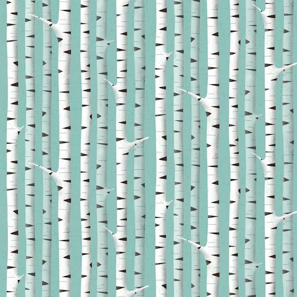 Birch forest on a Spring morning