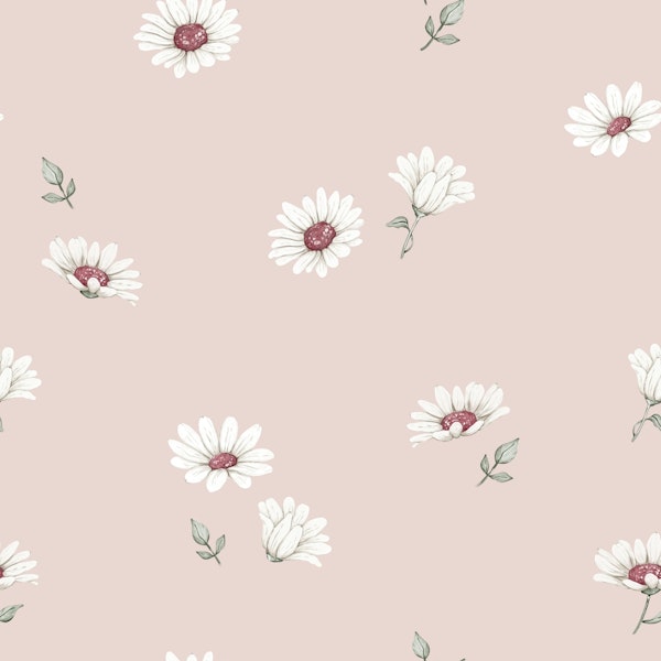 Dusty Rose Daisies