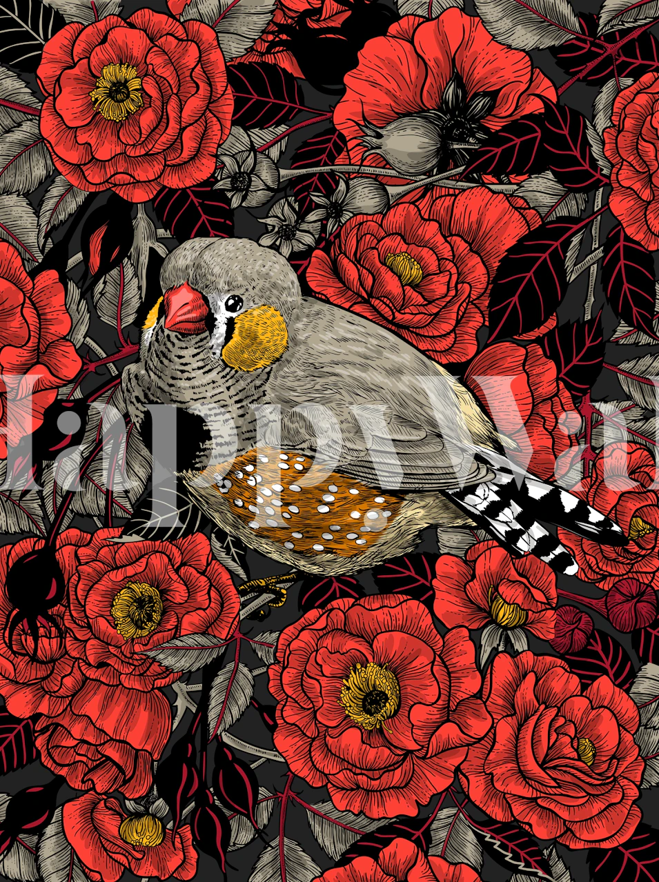 Papel de parede Zebra finch com flores vermelhas