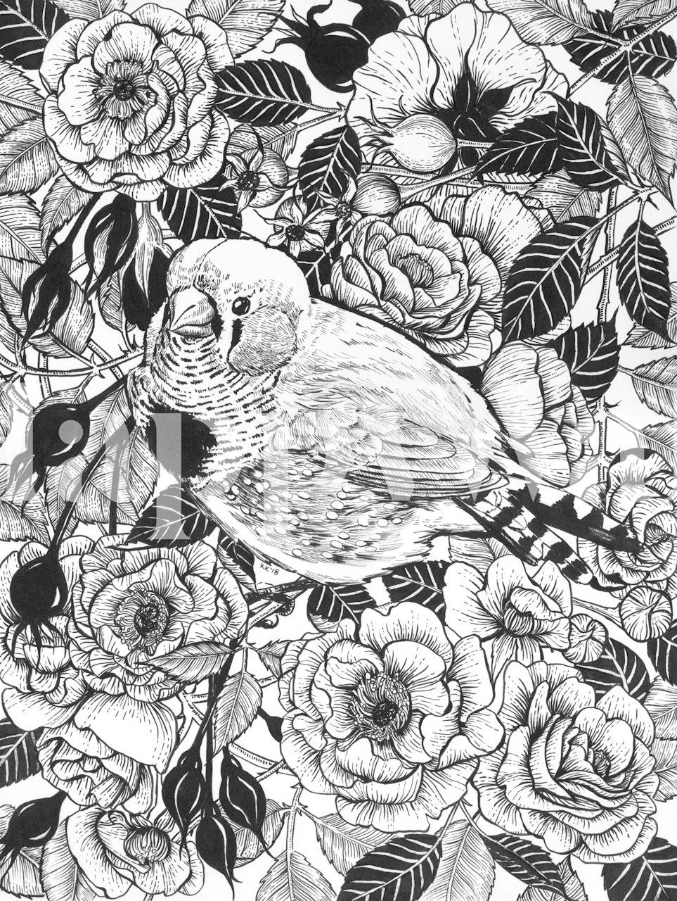 Bläckteckning av en zebrafink bland blommönster väggmålning