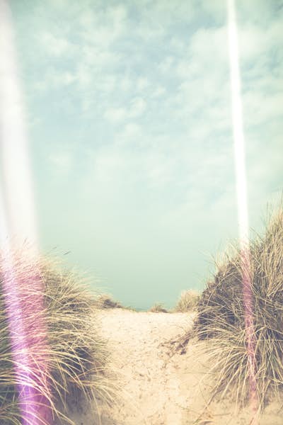 Τοιχογραφία