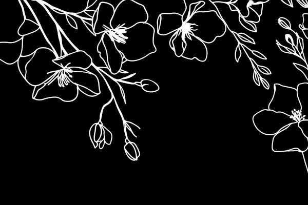 Minimalist Flower Study White On Black