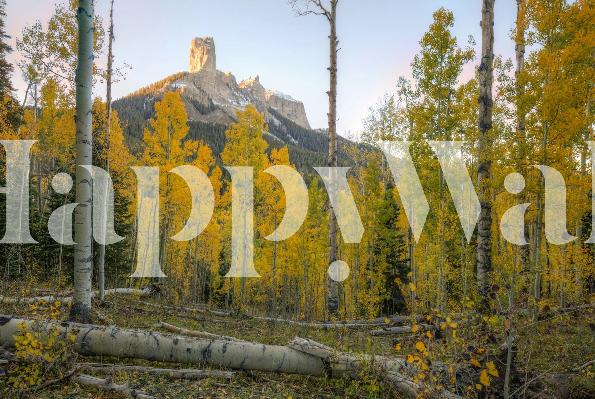 Golden autumn trees with a mountain in the background wallpaper