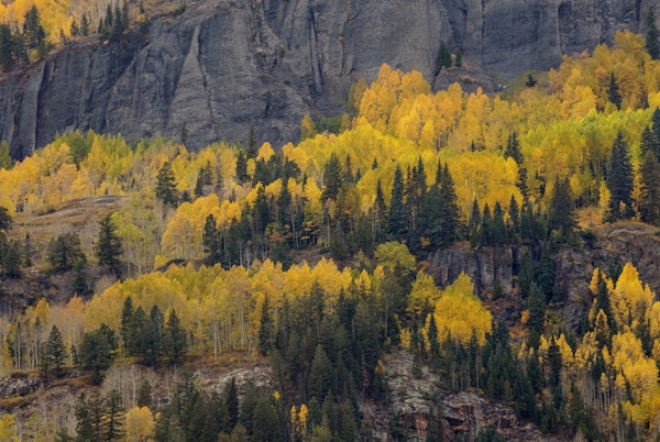Ledges Of Gold