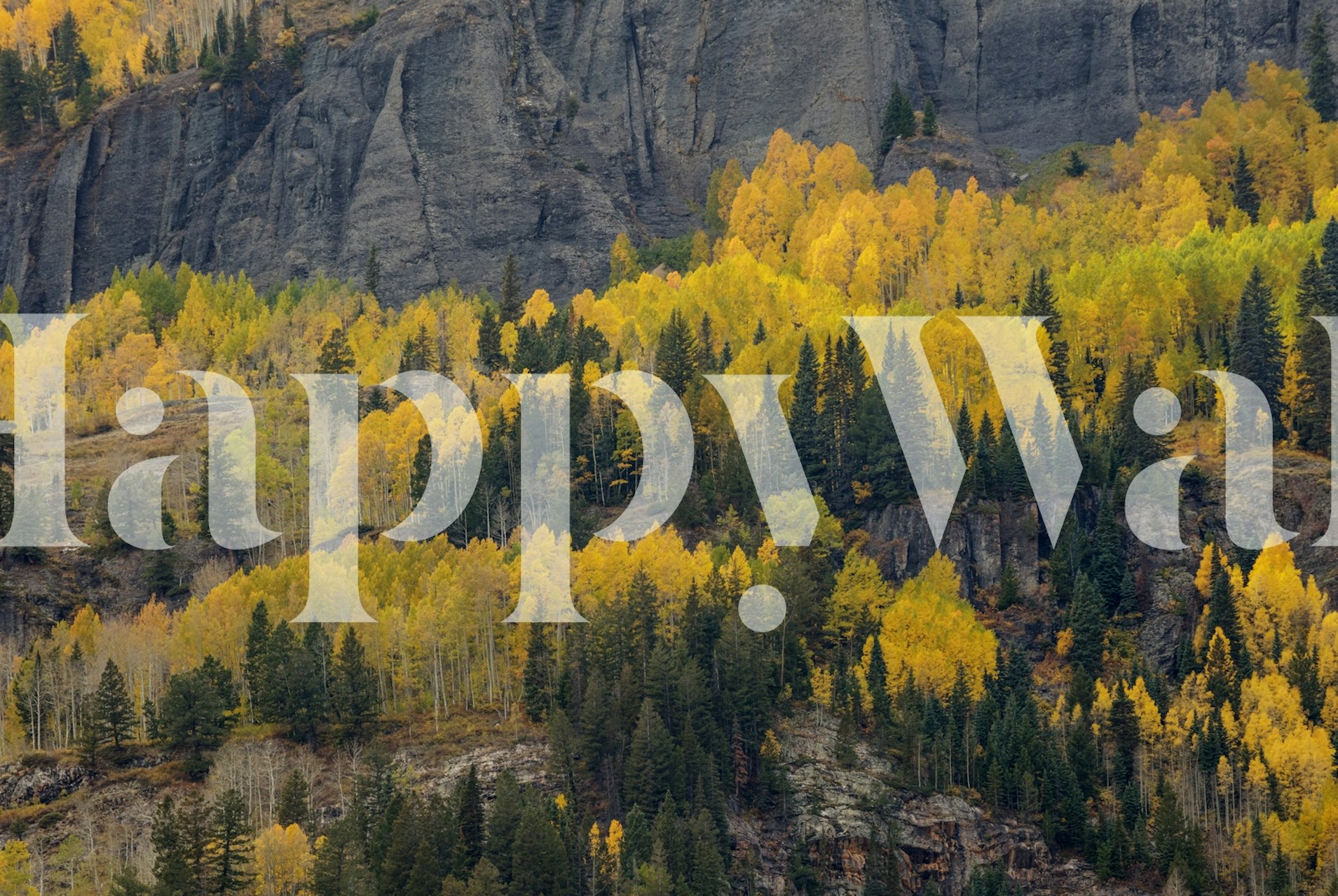 Ledges Of Gold wallpaper in a room