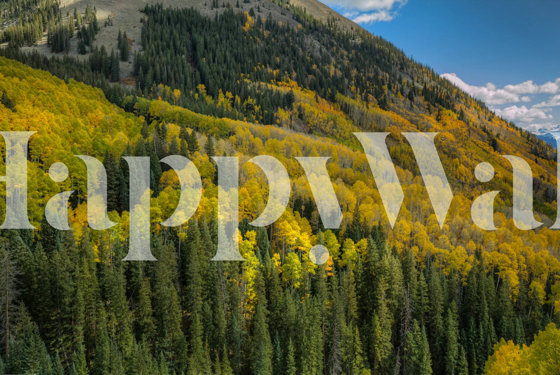 Autumn trees in vibrant yellow and green shades wallpaper