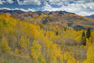 Τοιχογραφία
