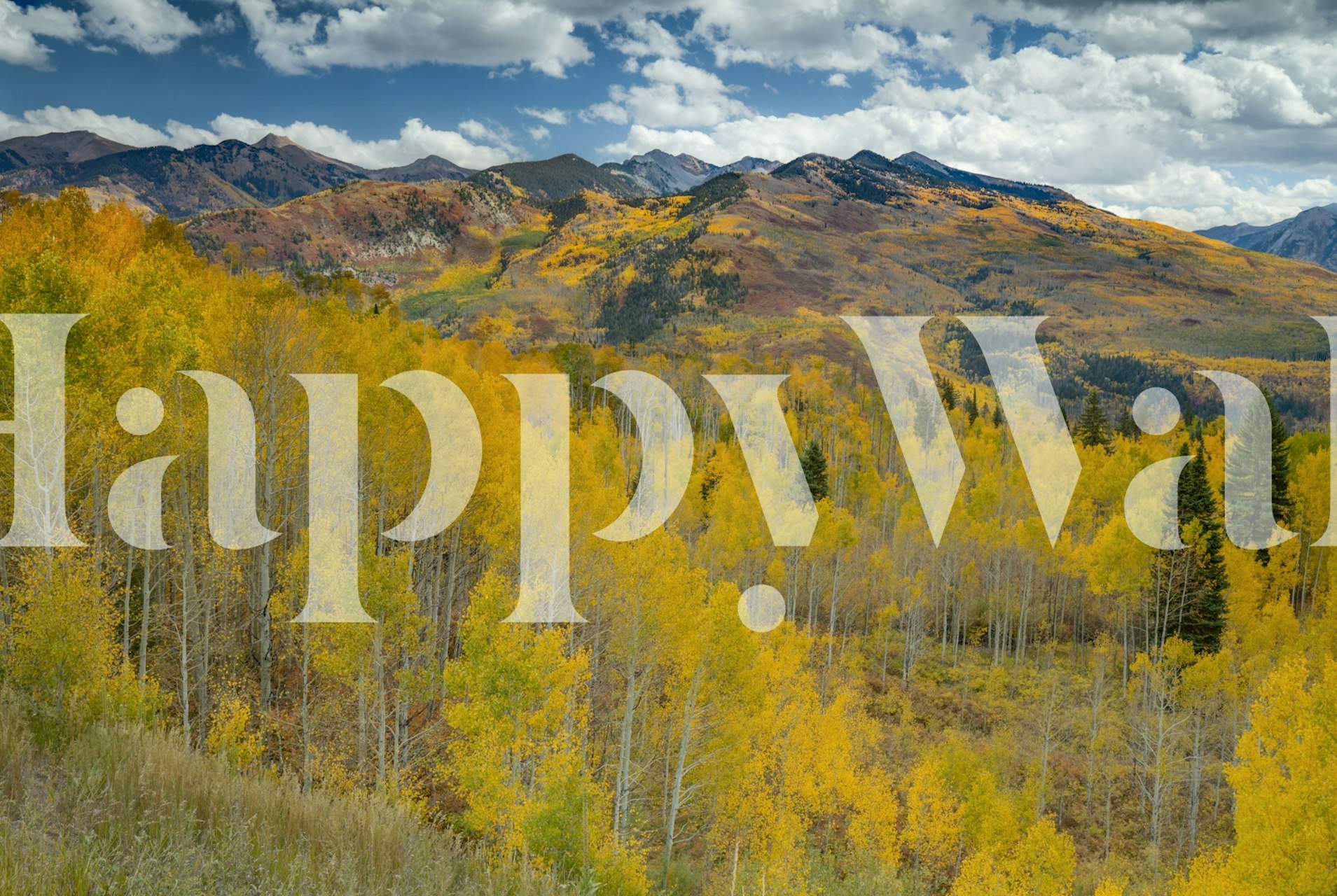 A stunning mural of McClure Pass with autumn foliage.