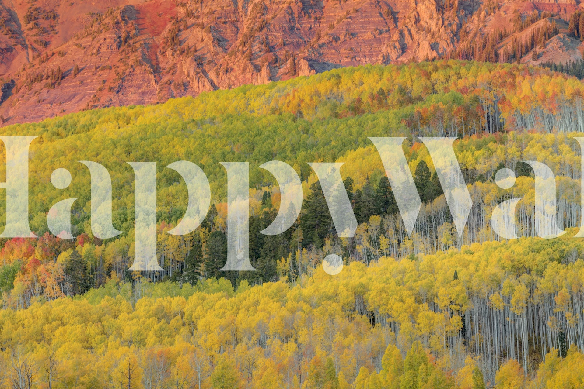 Papel de parede Sherbet Forest em um quarto