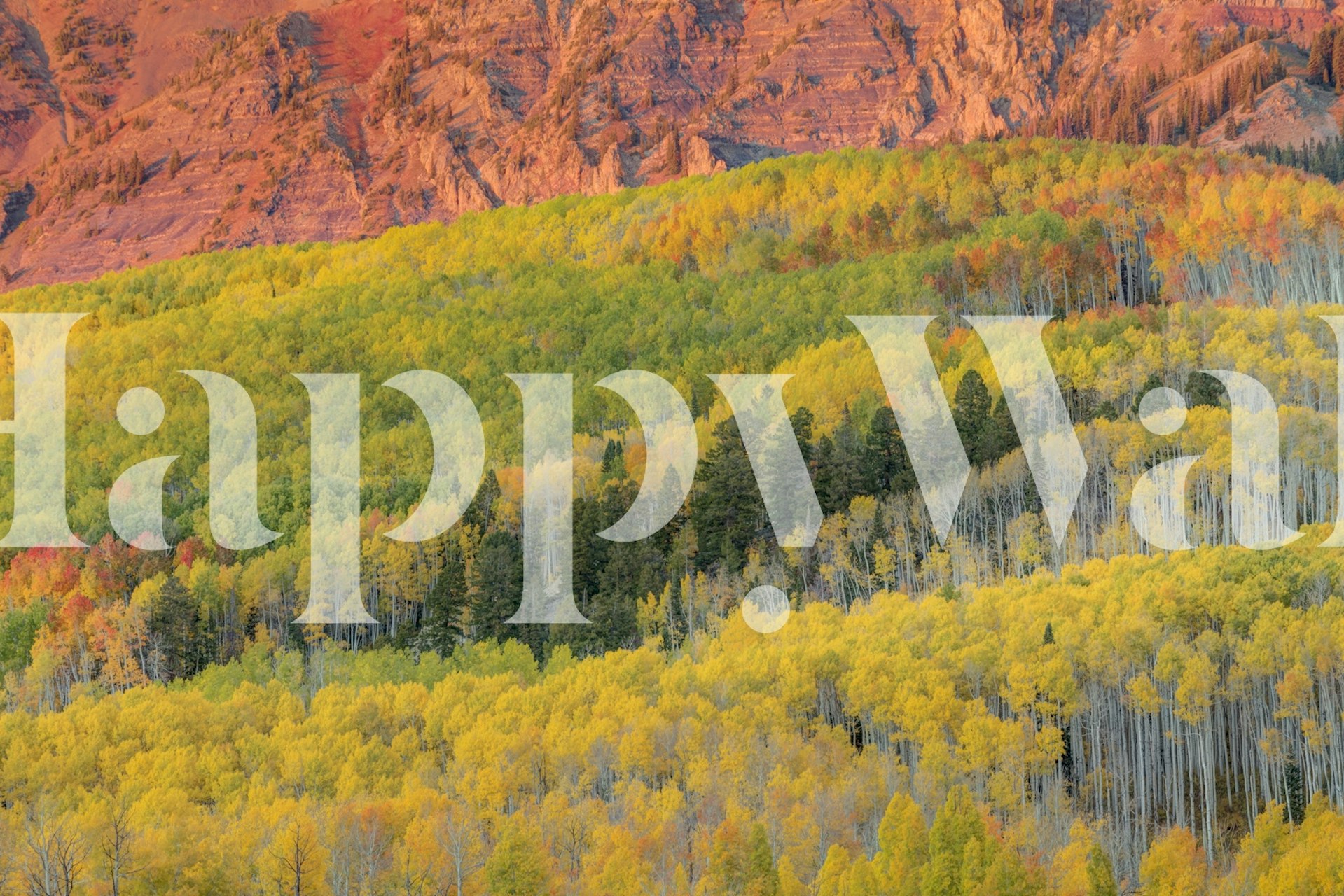 Sherbet Forest wallpaper in a room