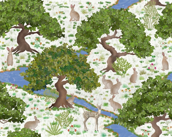 Magical Forest Meadow