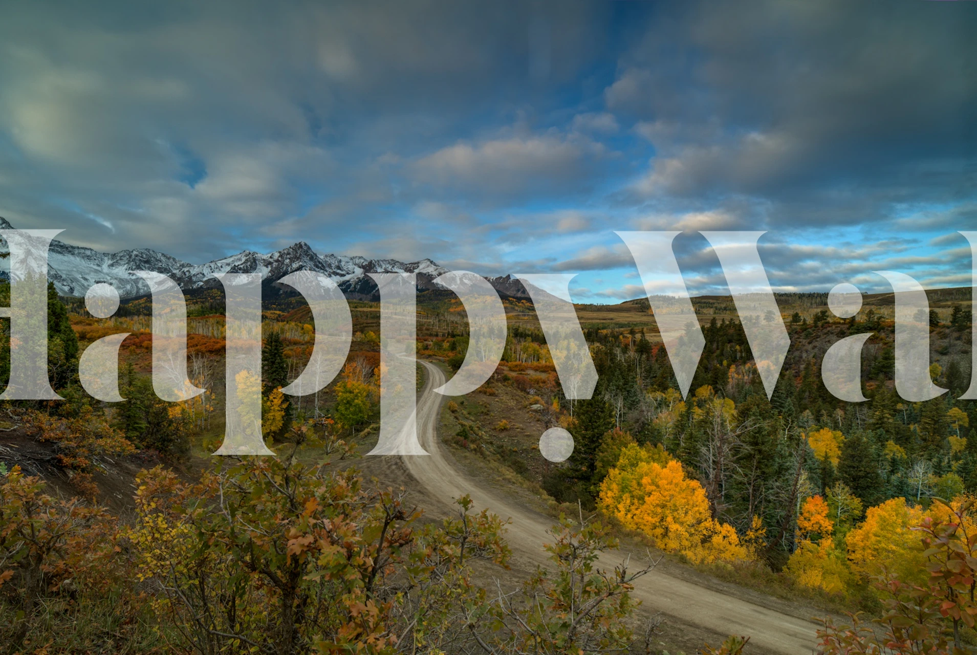 Kaunis tapetti kiemurtelevasta tiestä luonnossa