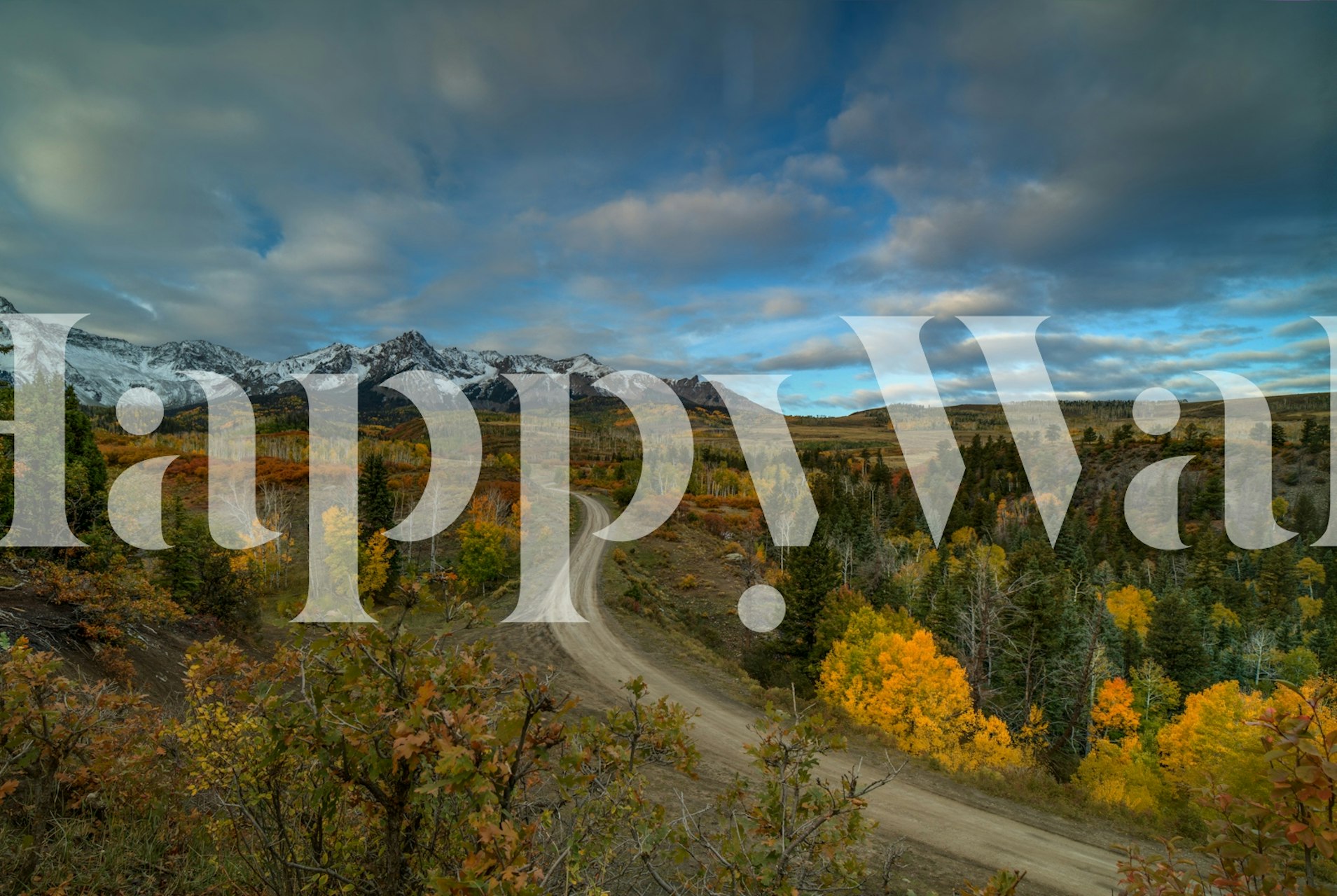 Beautiful wallpaper of a winding road in nature
