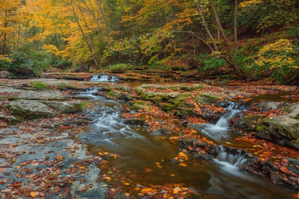 A Stroll For The Soul