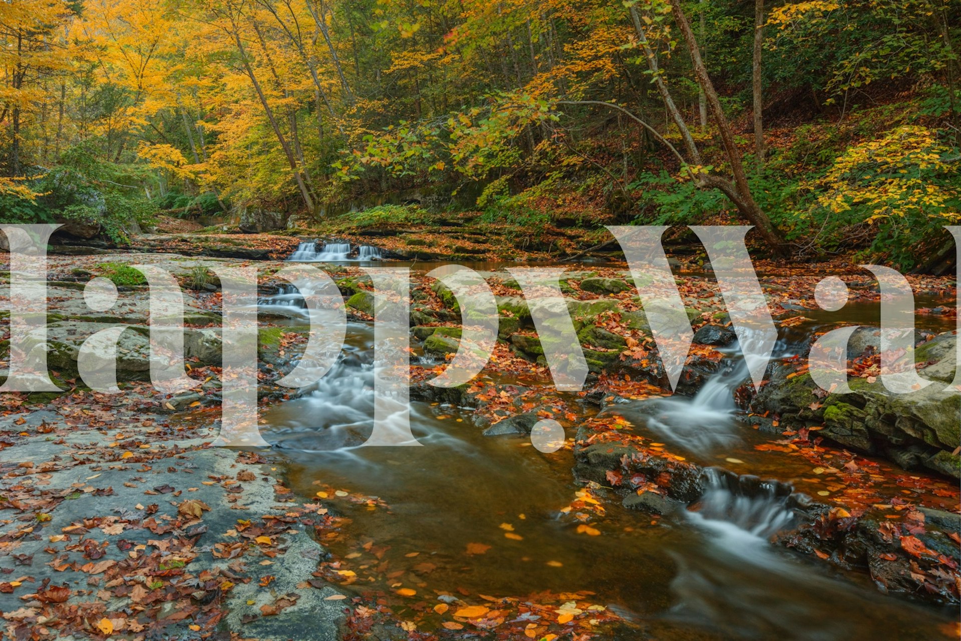 Wallpaper with serene autumn landscape