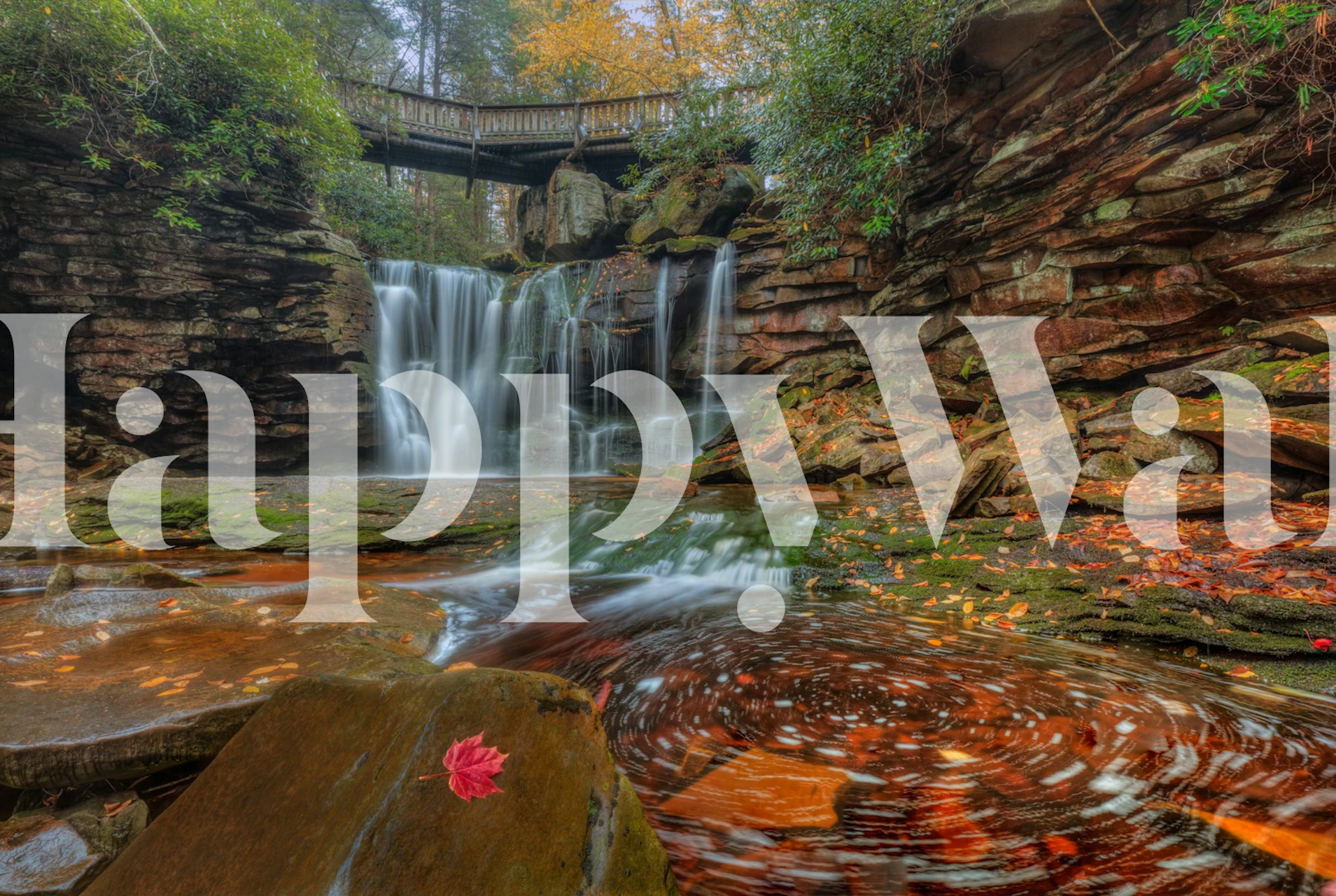 Whirlpool wallpaper with red accents in a room