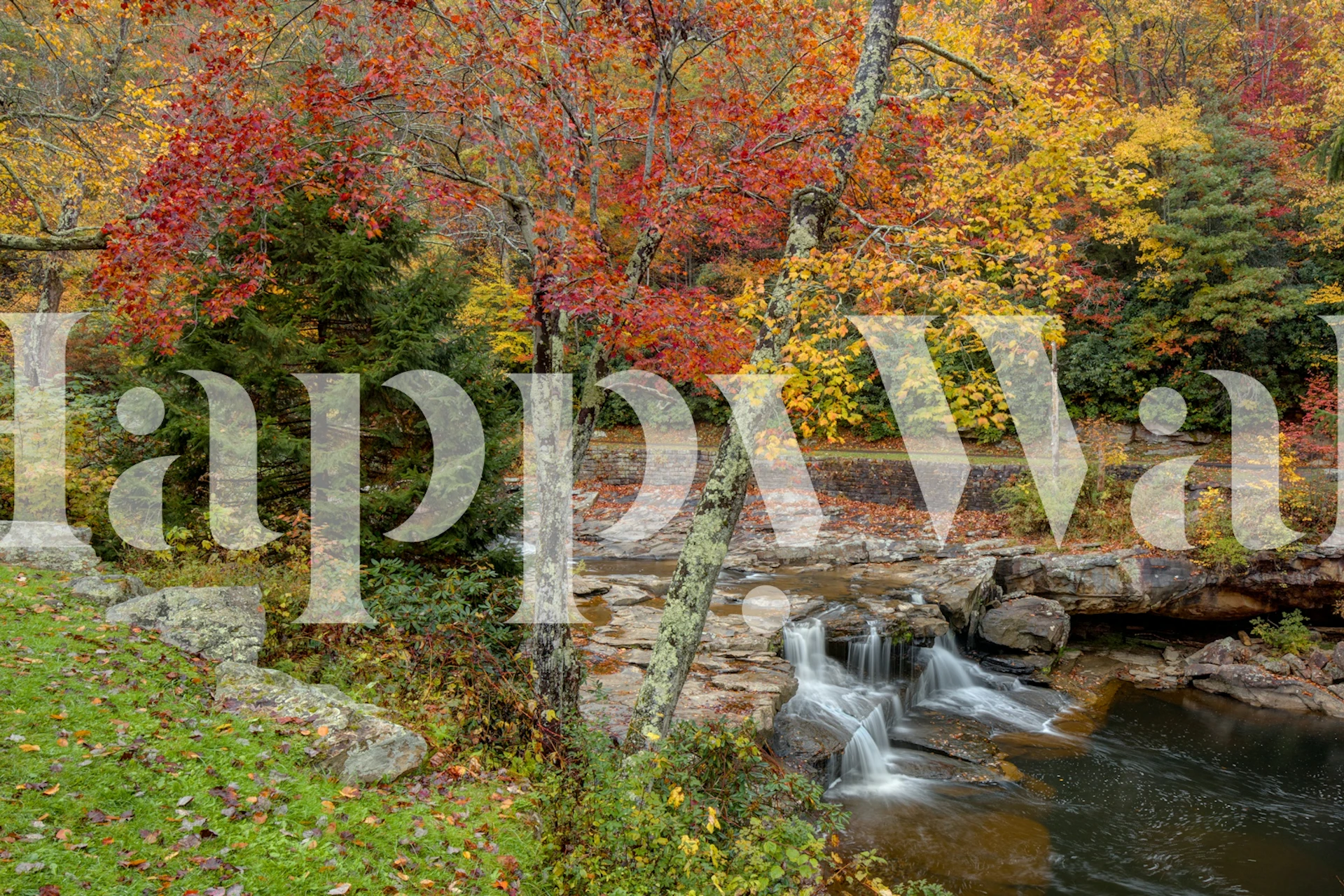 Fargerik piknik-tema tapet i et rom