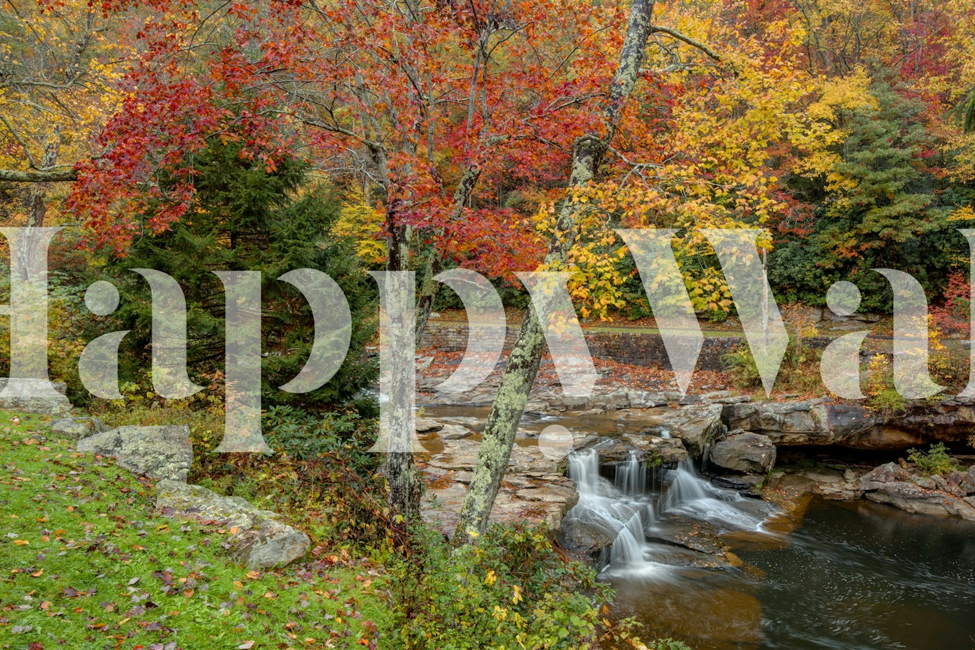Papier peint coloré sur le thème du pique-nique dans une pièce