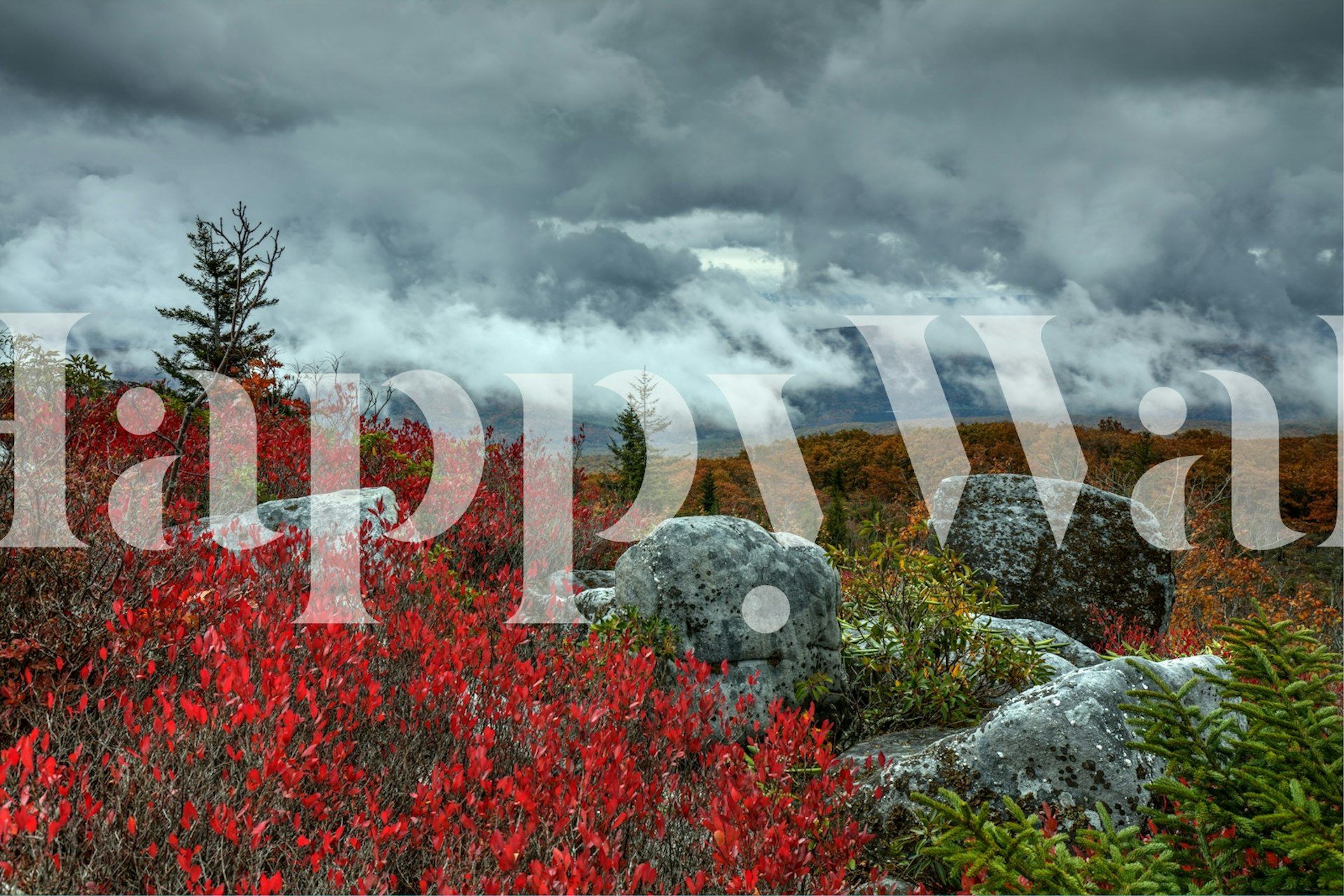 Storm Dolly Sods Wilderness 1 wallpaper in a room