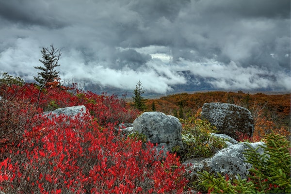 Storm Over Dolly Sods Wilderness 2