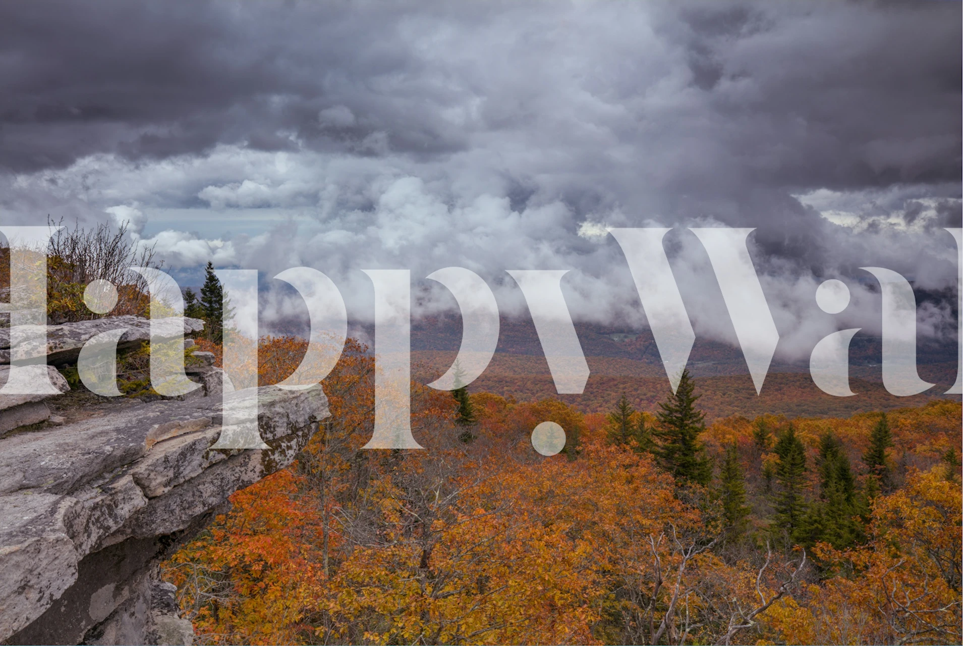 Storm Over Dolly Sods Wilderness wallpaper in room
