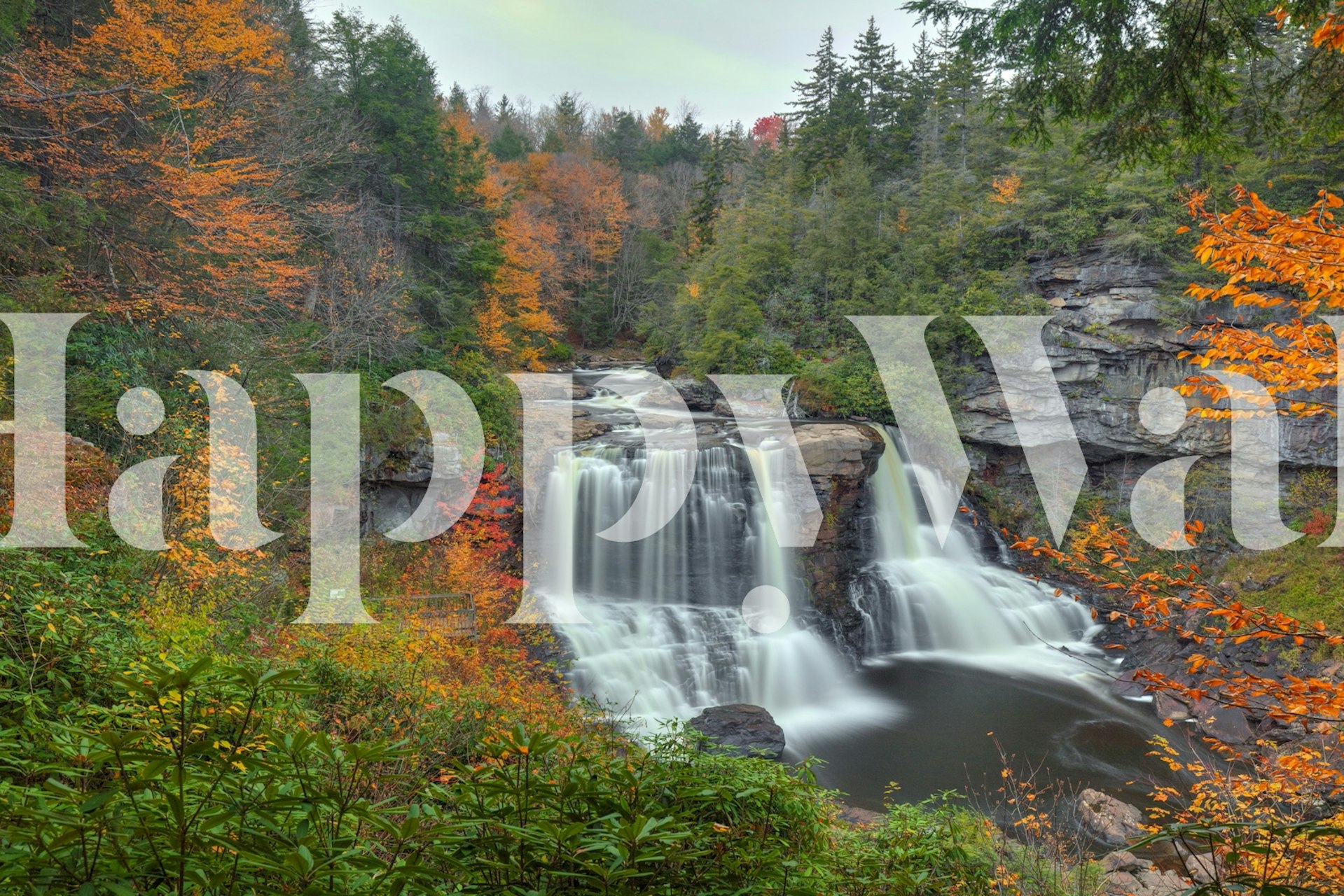 Carta da parati colorata in un ambiente moderno