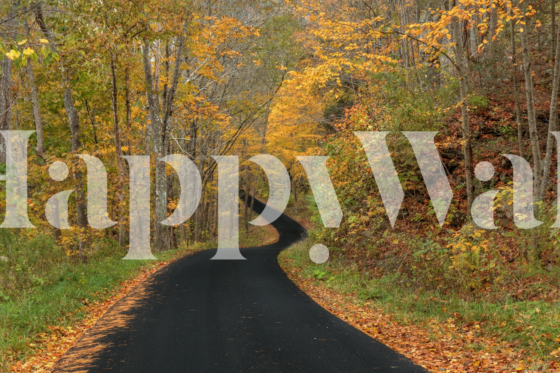 Autumn wallpaper design with colorful leaves