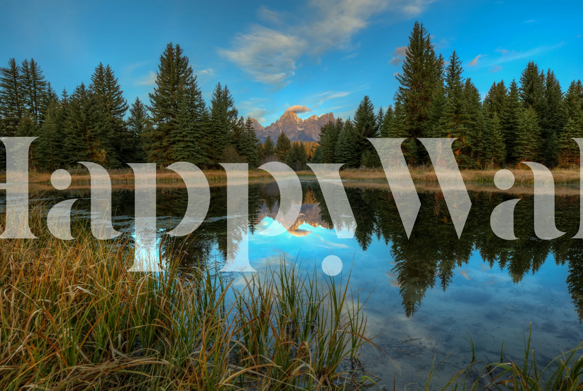 Design tapety Grand Tetons v místnosti