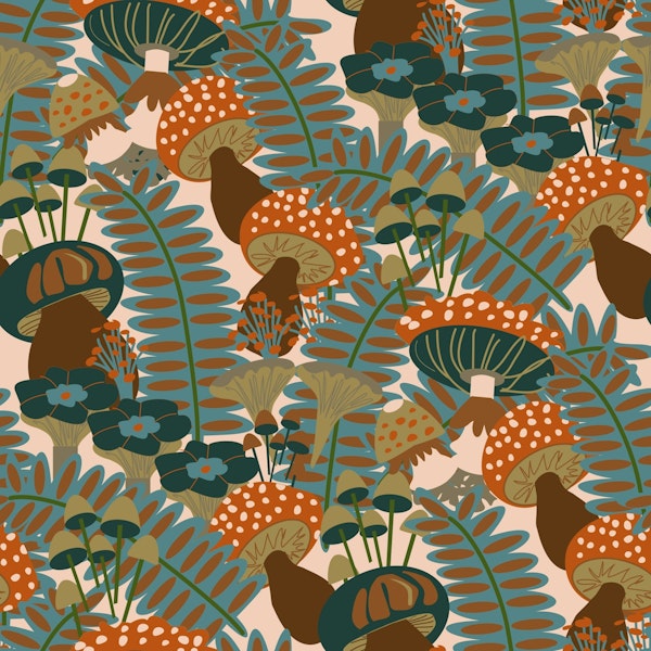 Autumnal Forest Fungi