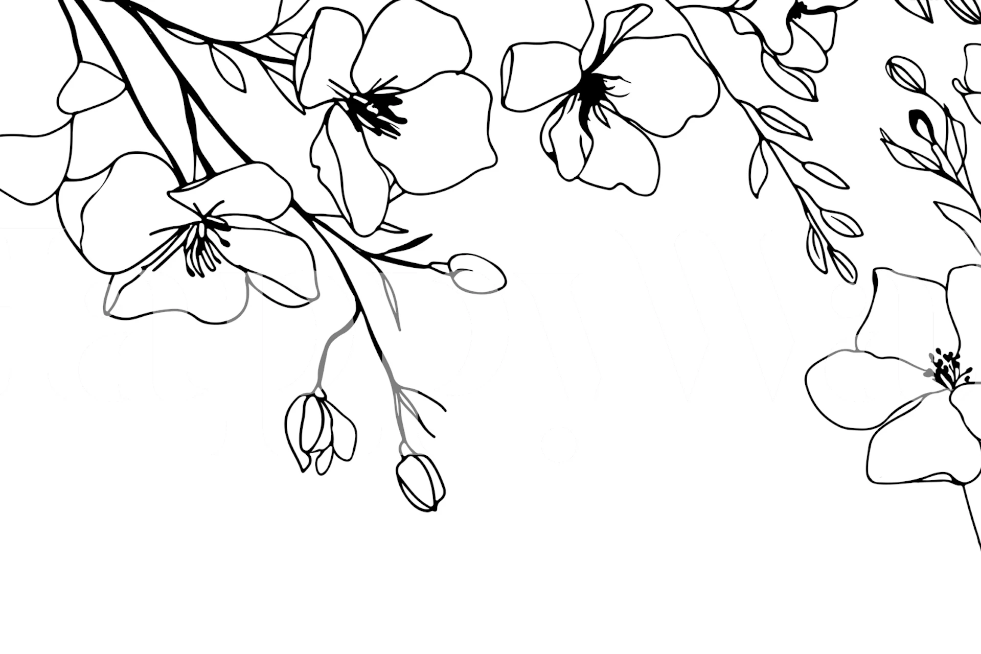 Black and white minimalist floral design wallpaper