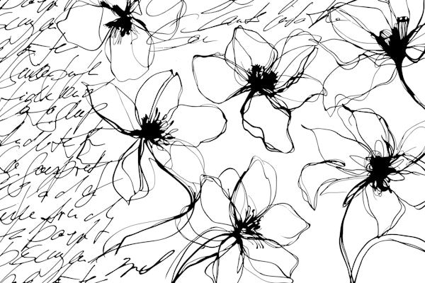 Flower Study And Script Black White