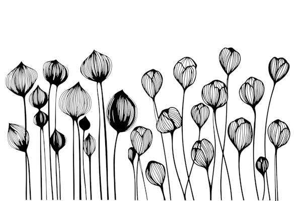 Minimalist Wildlowers Black And White