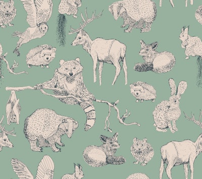 Pattern
