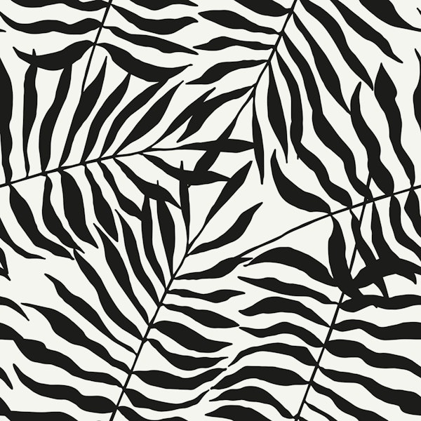 zebra leaves black and white