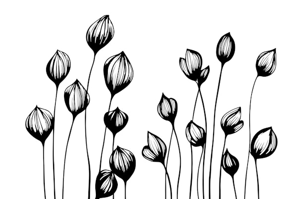 Minimalistic Wildflowers Black And White