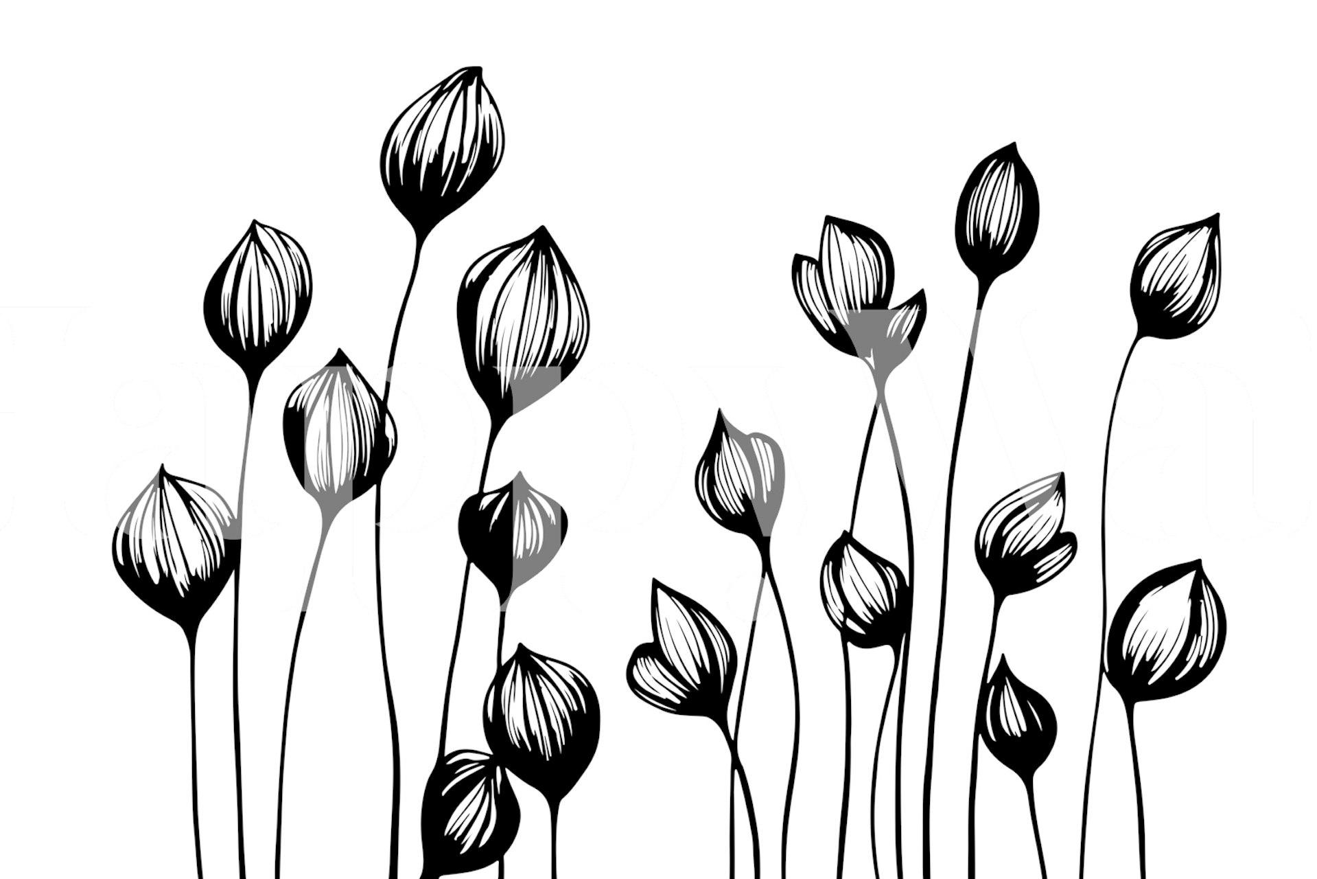 Black and white wildflowers wallpaper design