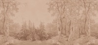 Forest Landscape Terra tapete