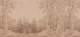 Forest Landscape Terra