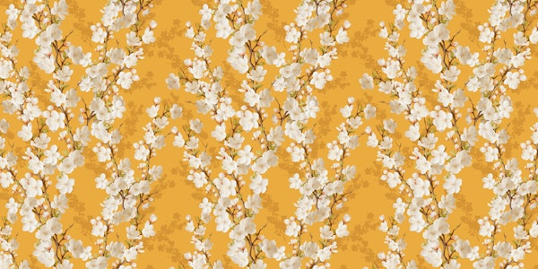 Cherry blossom indian yellow scale a