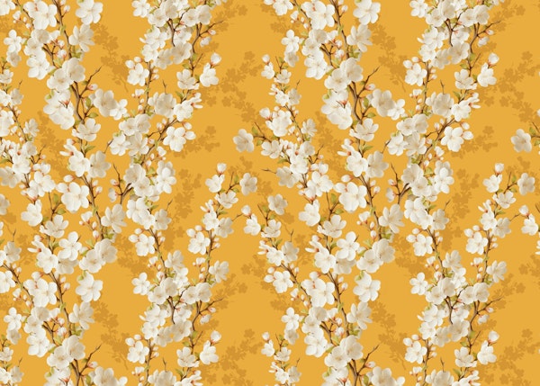 Cherry blossom indian yellow scale b