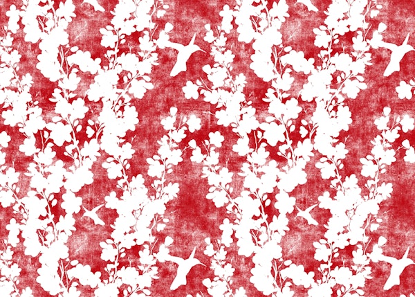 Scarlet red cherry blossom silhouette