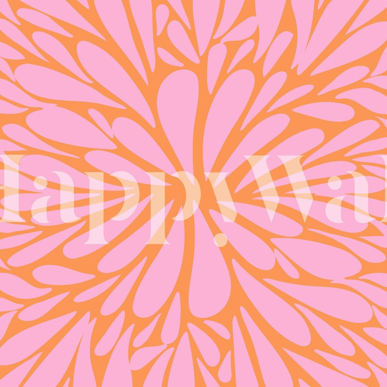 Floral burst pattern in pink and orange colors wallpaper