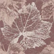 Summervibes Leafes