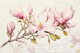 Magnolia Spring Romance Memories