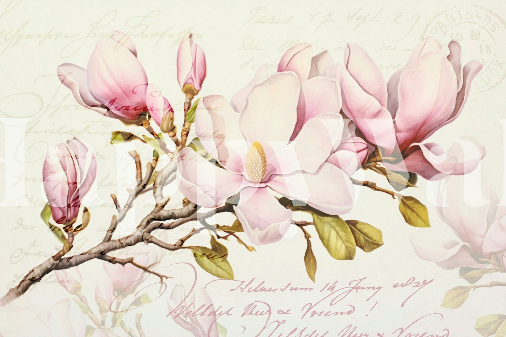 Tapeta Magnolia ve stylovém pokoji