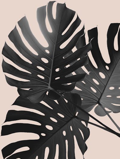 Τοιχογραφία