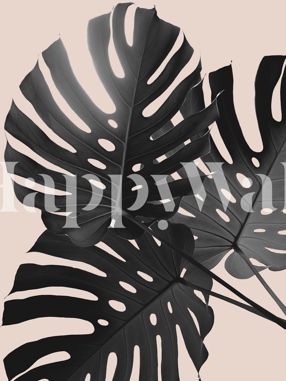 Tropical Monstera Finesse wallpaper in a room