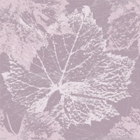 Summertime Leafes Wallpaper tapete