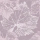 Summertime Leafes Wallpaper