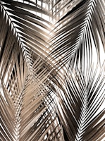Golden Brown Palm Leaves 1 tapet